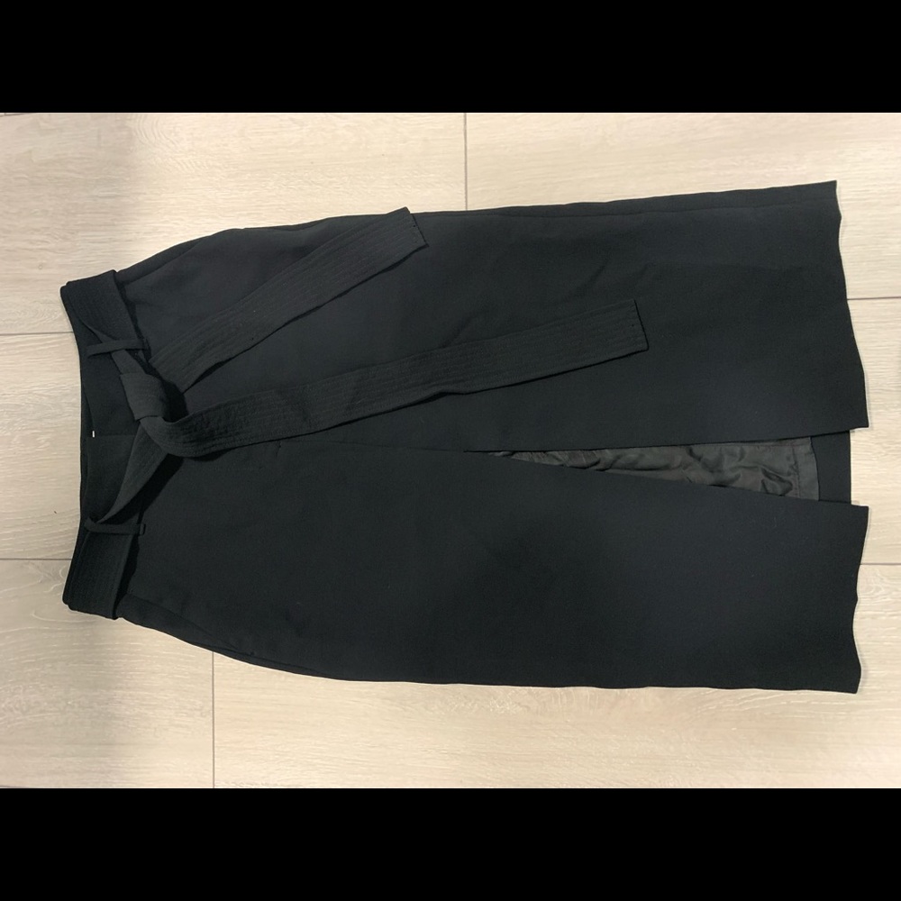 Aritzia Wilfred Jallade Skirt 4